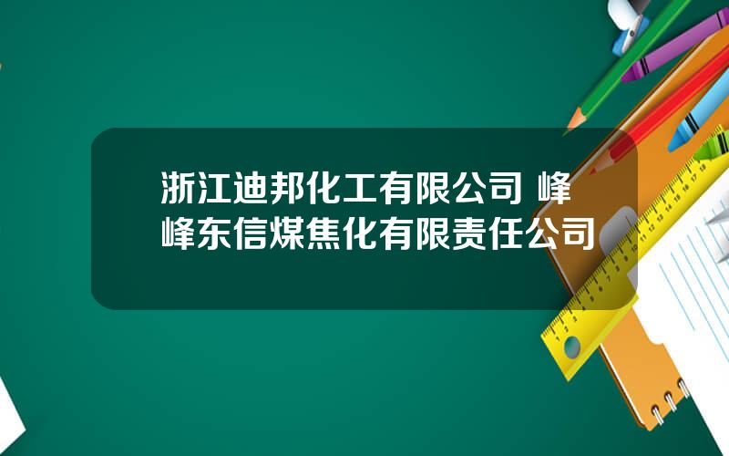 浙江迪邦化工有限公司 峰峰东信煤焦化有限责任公司